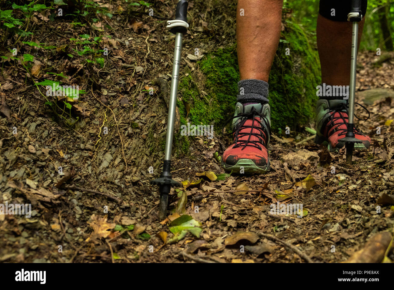 Walkers legs and feet with walking poles and well used boots, Stock Photo