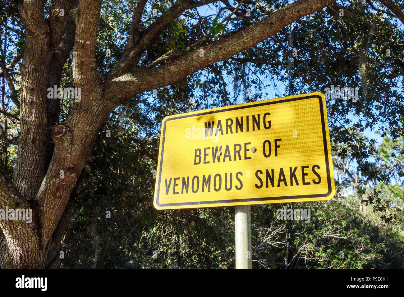 Gainesville Florida,sign,warning beware venomous poisonous snakes,dangerous wildlife,FL171028031 Stock Photo