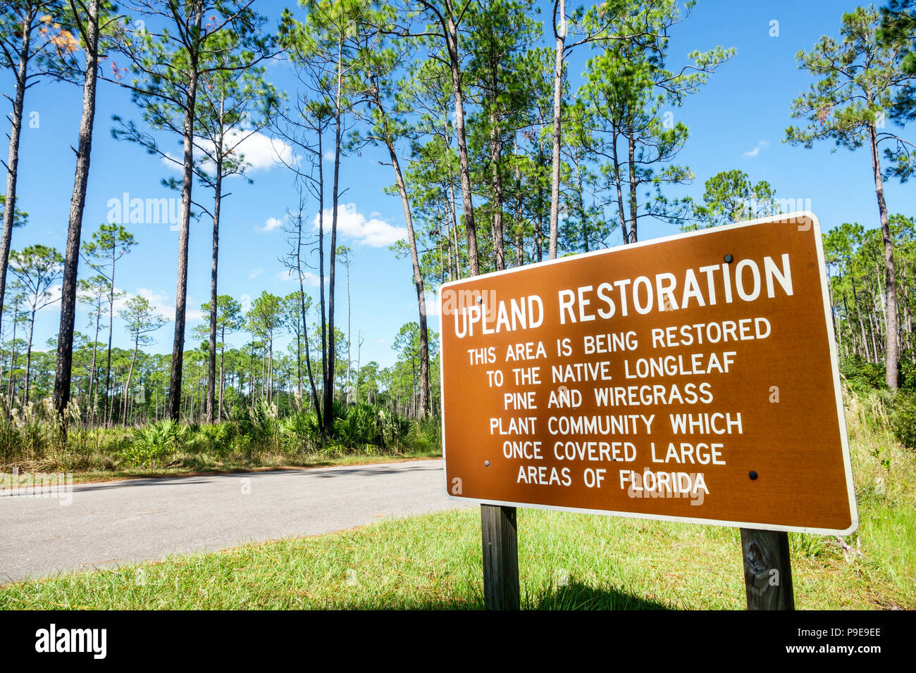 Gainesville Florida,Micanopy,Paynes Prairie Ecopassage Nature Preserve State Park,sign,upland land restoration,National Natural Landmark,conservation, Stock Photo
