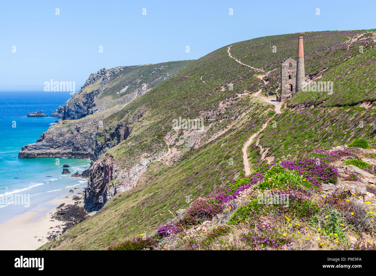 wheal coates old tin mine on the cliffside near st agnes cornwall uk summer Stock Photo