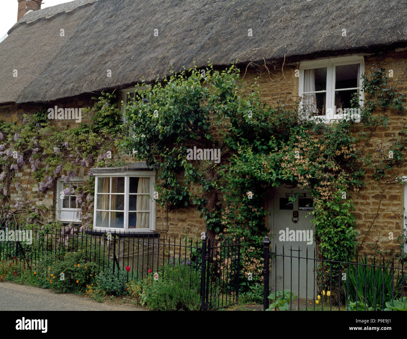 Exterior of a thatched stone cottage with honeysuckle around the front door Stock Photo