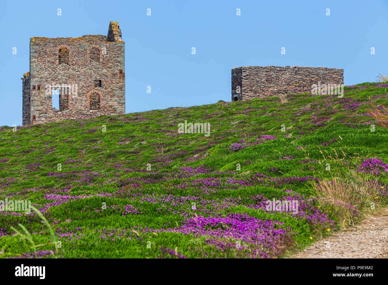 wheal coates old tin mine on the cliffside near st agnes cornwall uk summer Stock Photo