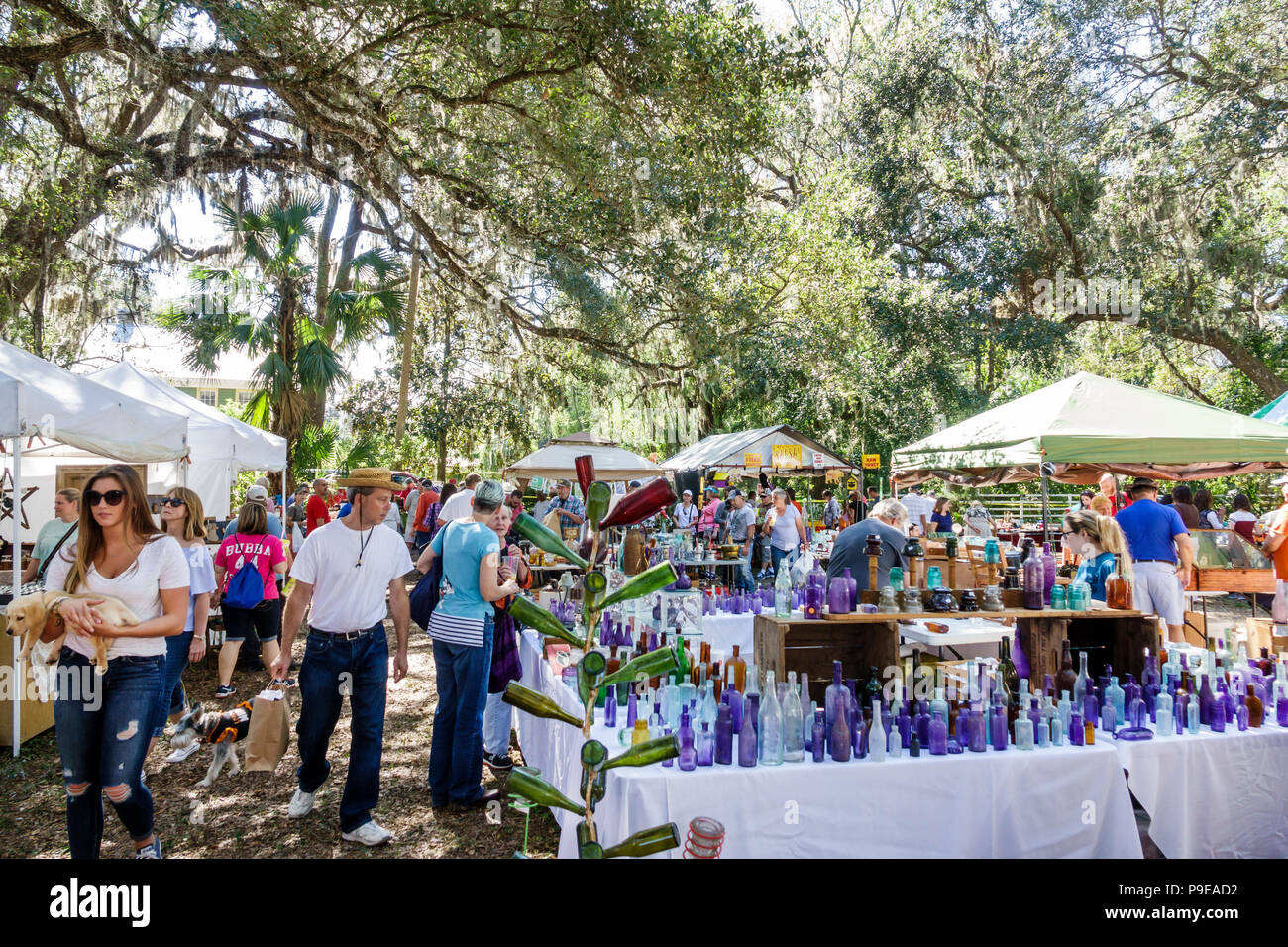 Florida,Micanopy,Fall Harvest Festival,annual small town community booths stalls vendors buying selling,fairgoer,bottle tree,display,glass,man men mal Stock Photo