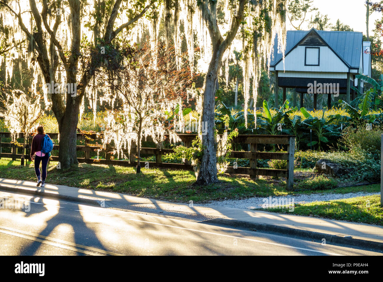 Gainesville Florida,University of Florida,campus,Museum Road,Spanish