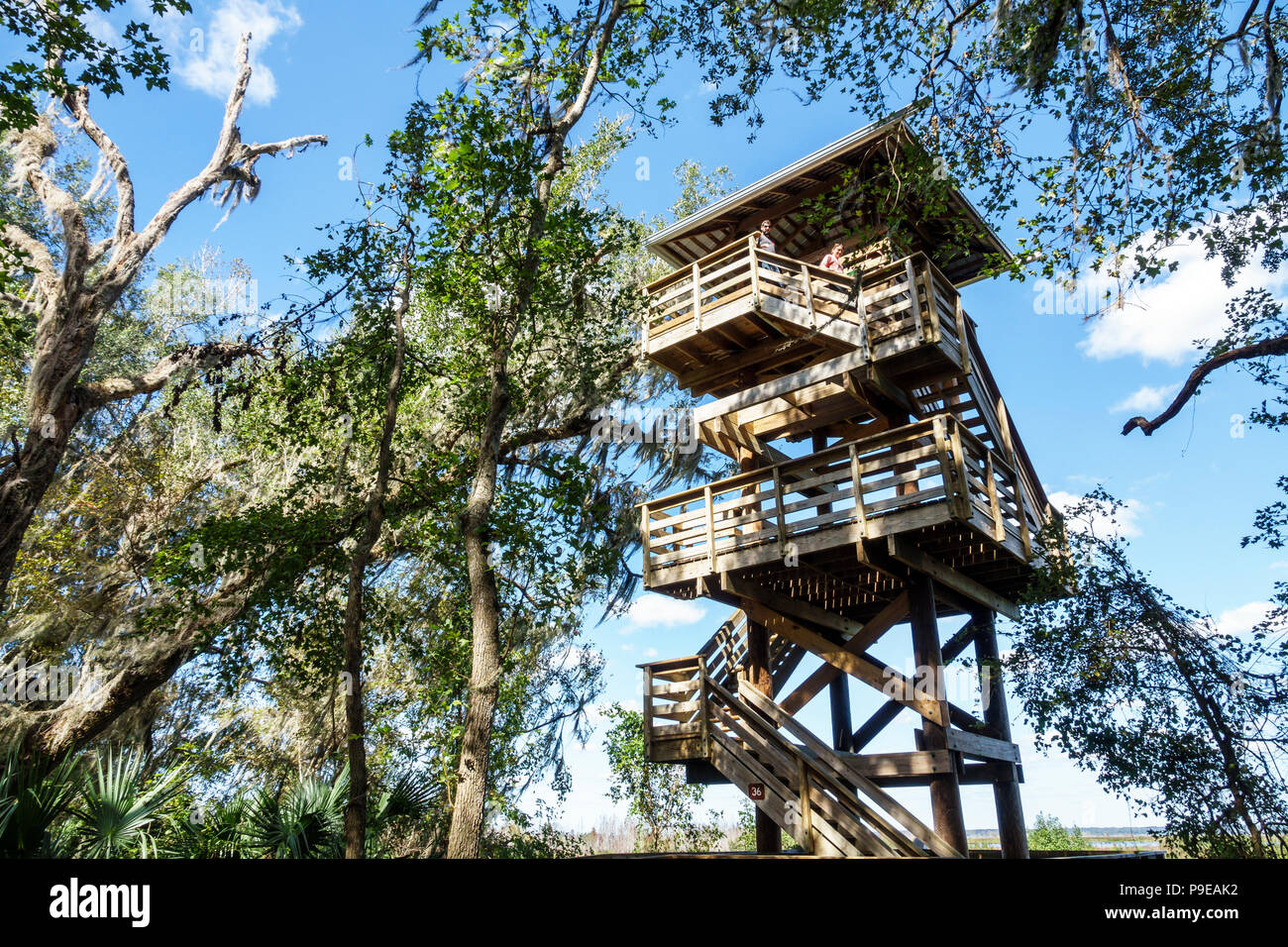 Gainesville Florida,Micanopy,Paynes Prairie Ecopassage Nature Preserve State Park,Observation Tower,National Natural Landmark,al conservation,Wacahoot Stock Photo