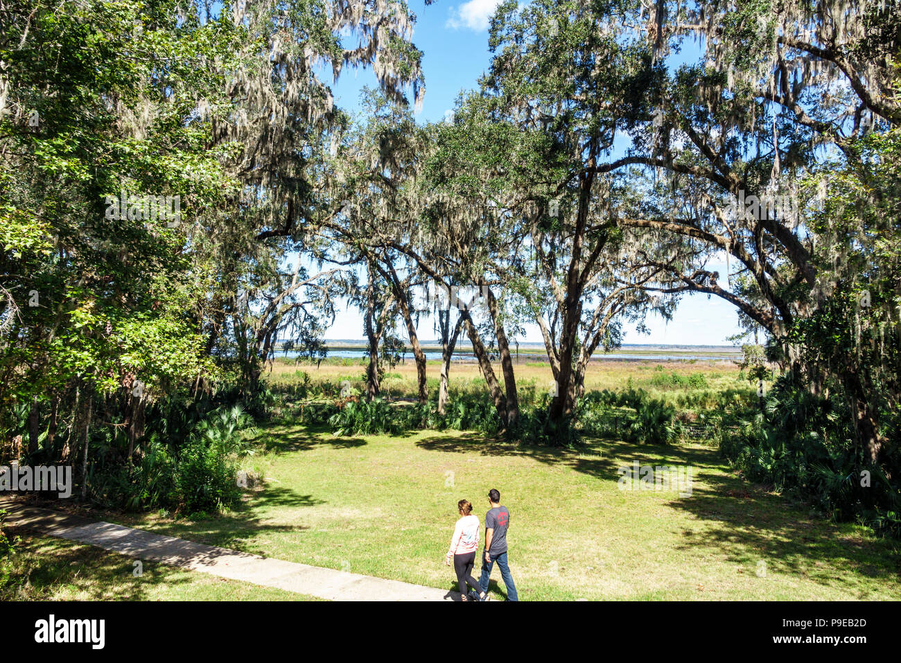 Gainesville Florida,Micanopy,Paynes Prairie Ecopassage Nature Preserve