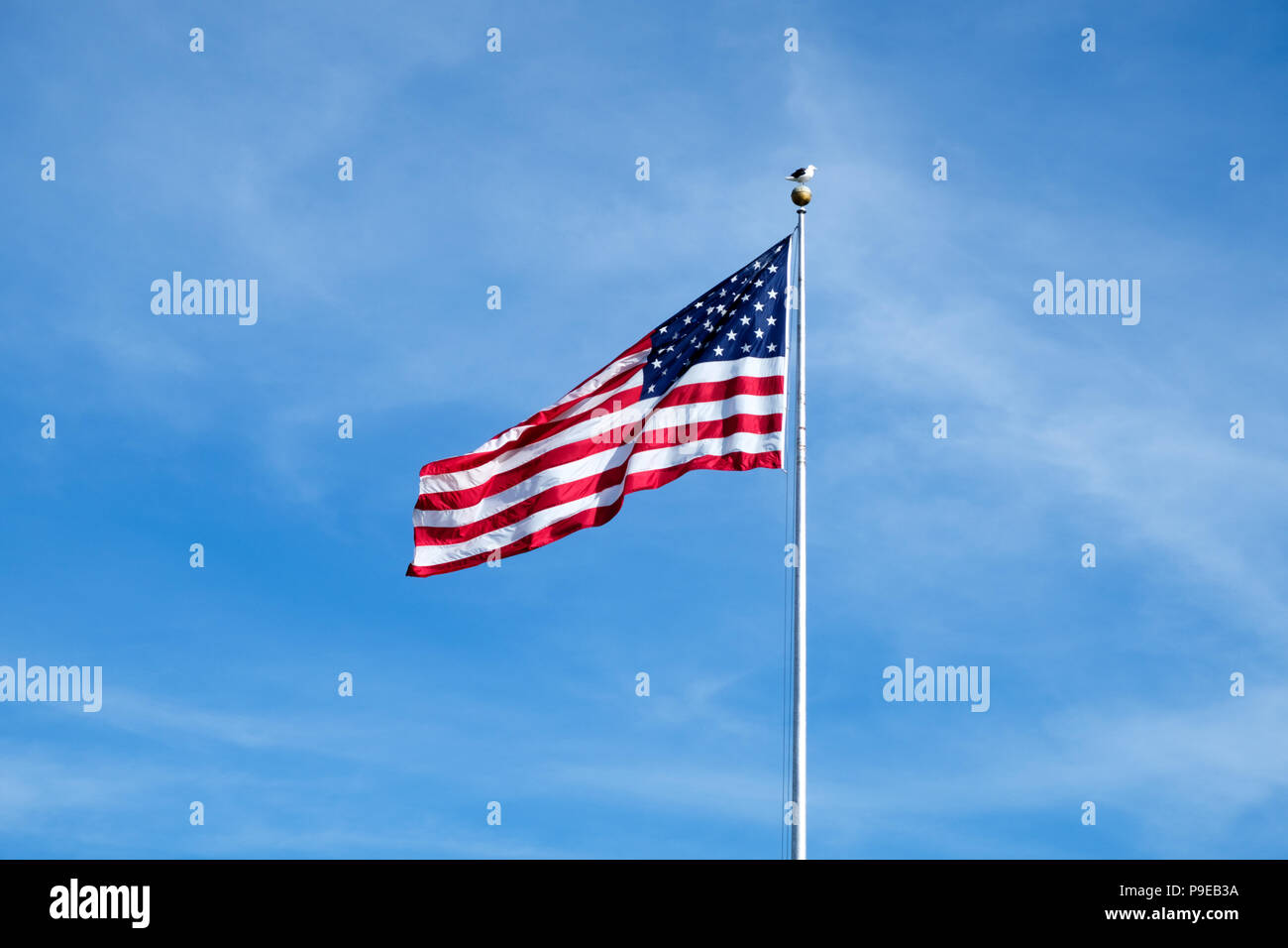 American flag raised on a flag pole with negative space and blue sky Stock Photo