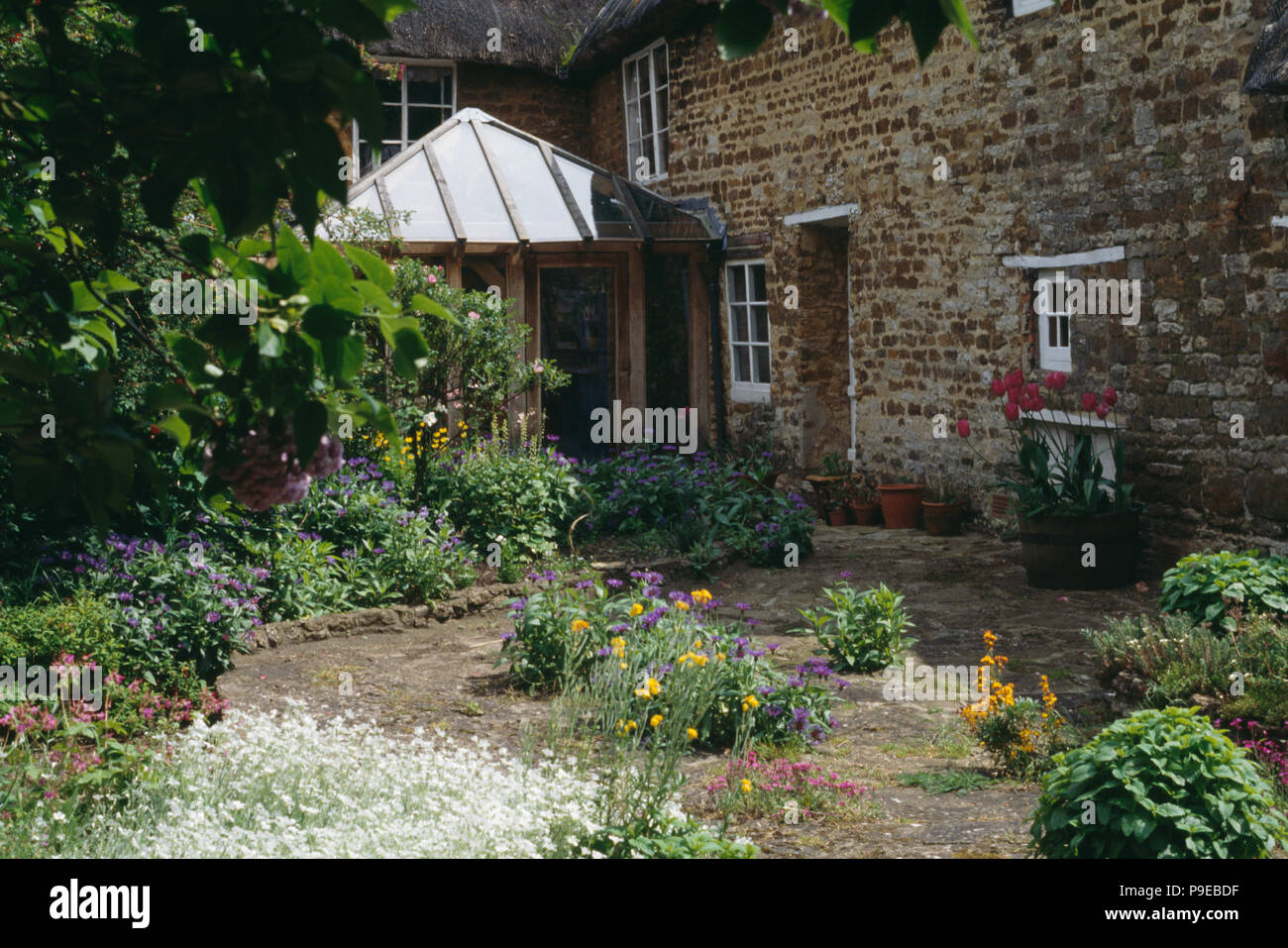 Flowers growing on paving of courtyard in front of old cottage with small conservatory extension Stock Photo
