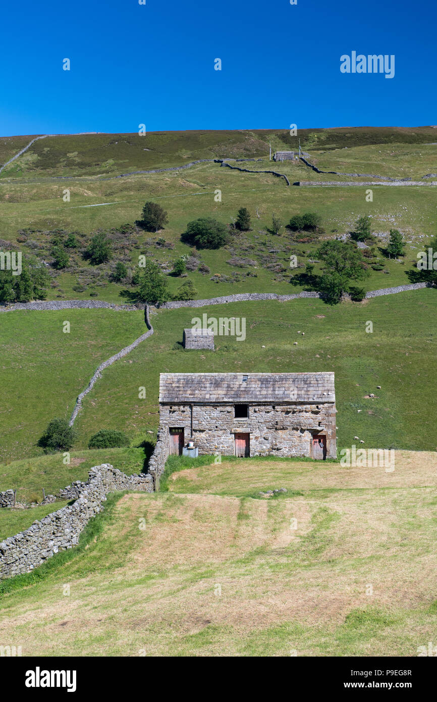Traditional field barn in a newly cropped meadow at the top of Swaledale, with Kisdon Hill behind. Stock Photo