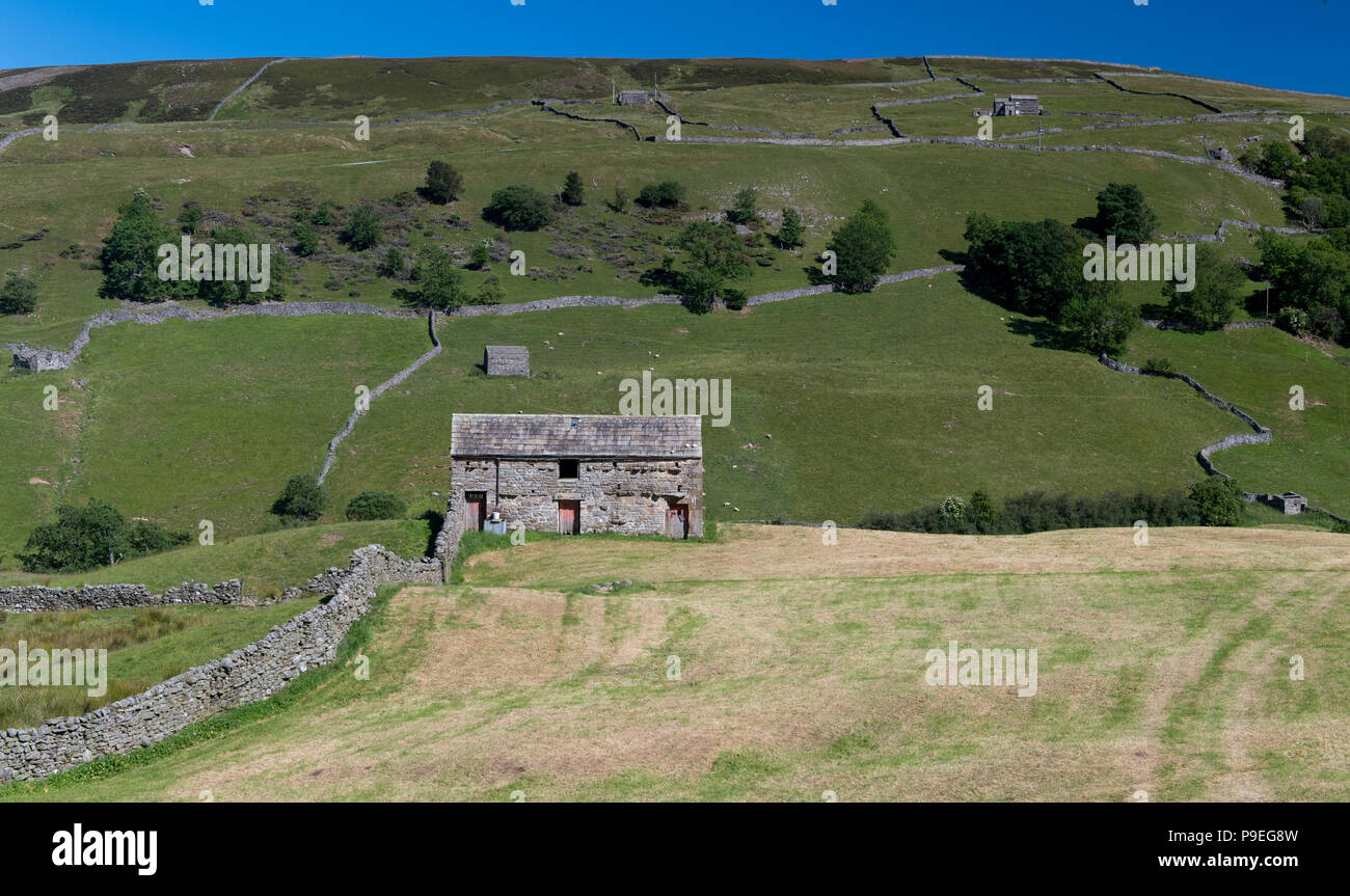 Traditional field barn in a newly cropped meadow at the top of Swaledale, with Kisdon Hill behind. Stock Photo