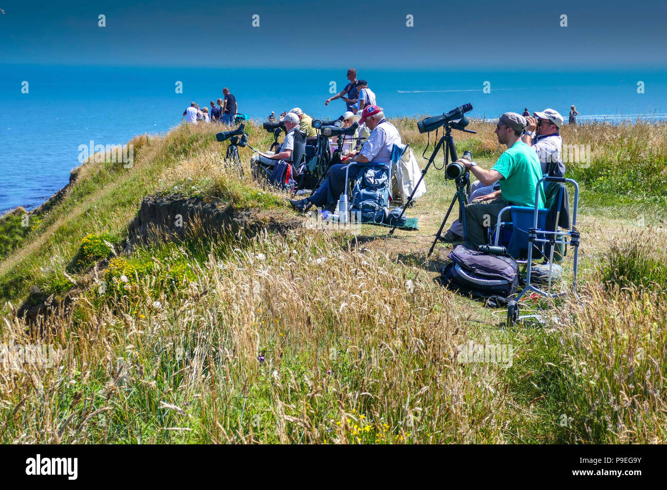 Bird watchers with telescopes and Summer weather at Flamborough Head, Easy Yorkshire Stock Photo
