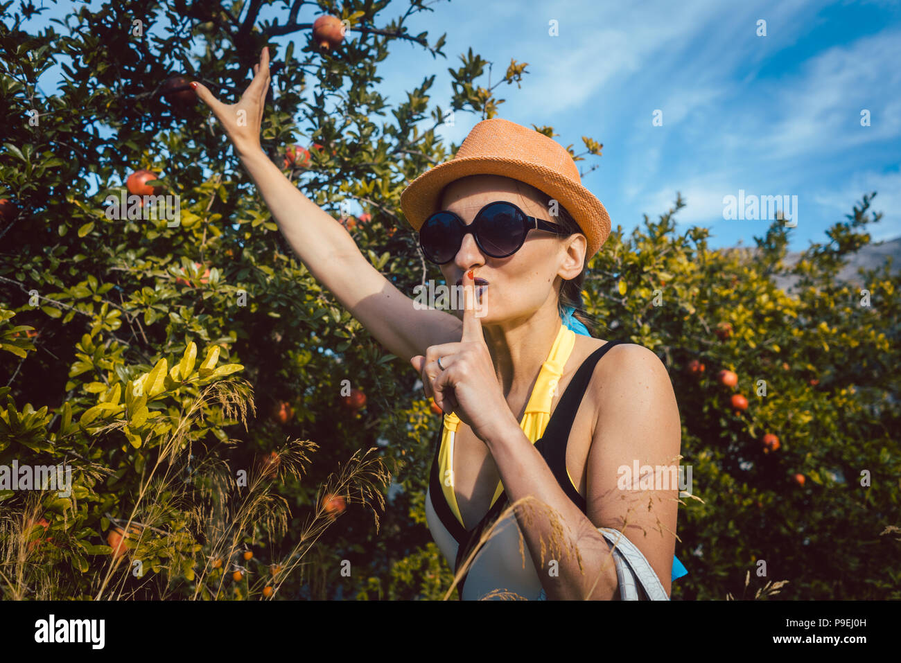 Woman stealing pomegranate fruit from tree Stock Photo Alamy
