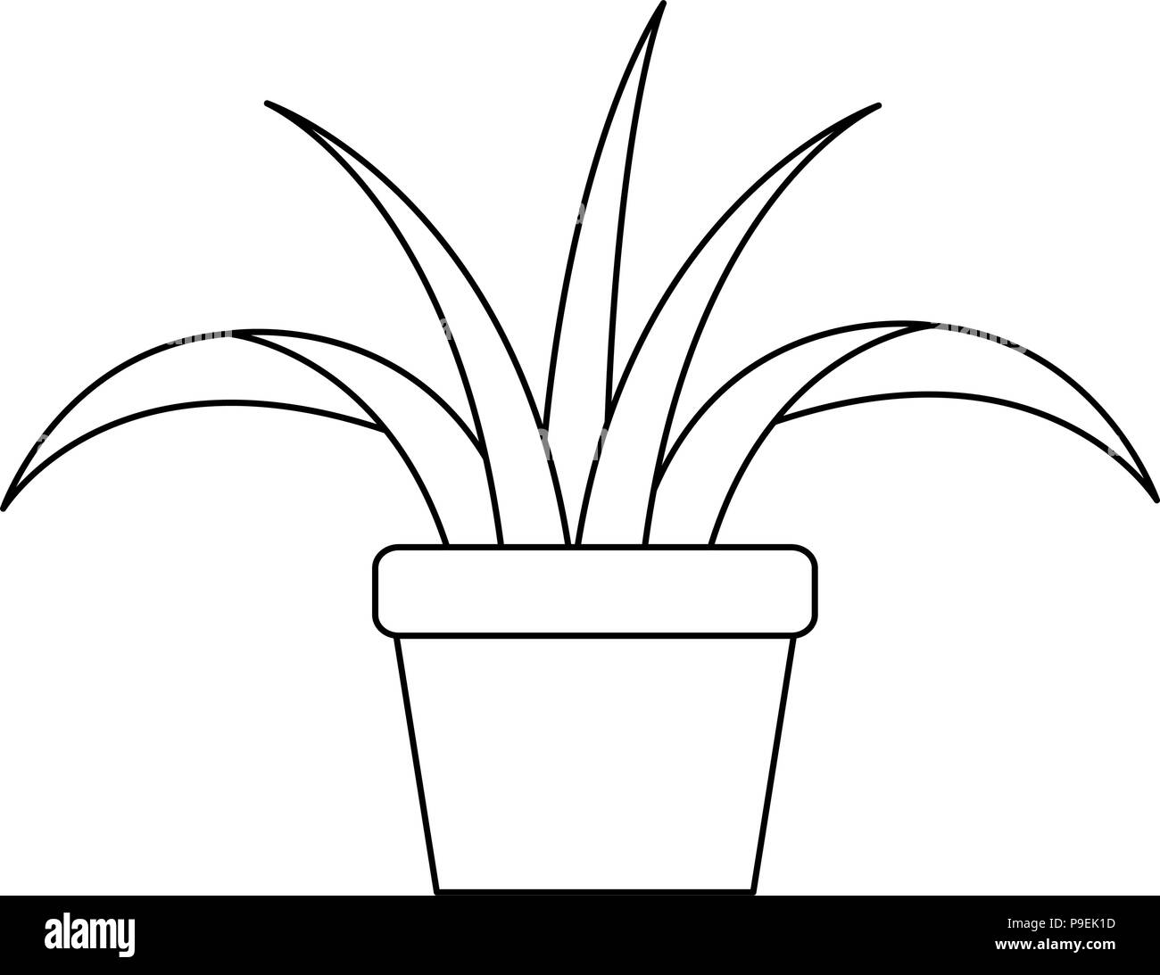 house plant in pot Stock Vector Image & Art - Alamy