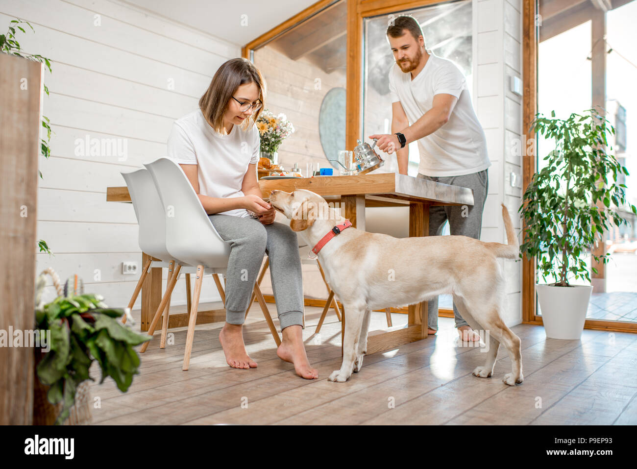 Young couple with dog at home Stock Photo