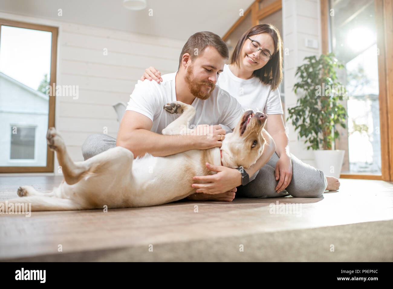 Couple with dog in the house Stock Photo Alamy