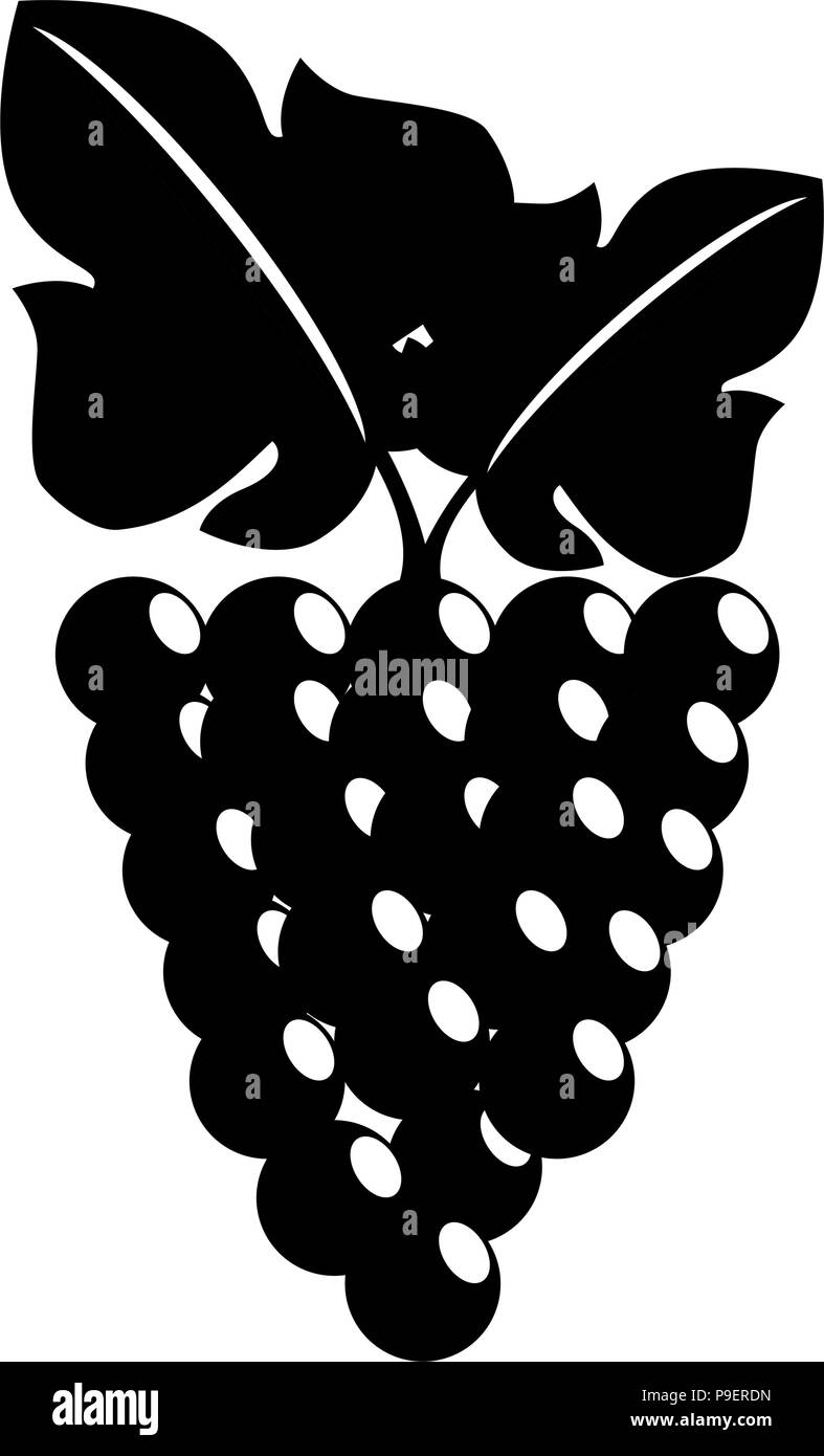 grapes cluster isolated icon Stock Vector