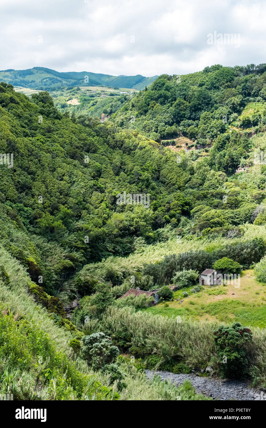 Wooded valley on Sao Miguel, Azores Stock Photo