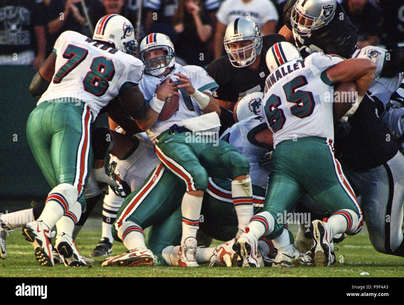 Oakland, California, USA. 31st Oct, 1999. Oakland Raiders vs. Miami Dolphins  at Oakland Alameda County Coliseum Sunday, October 31, 1999. Dolphins beat  Raiders 16-9. Miami Dolphins wide receiver Nate Jacquet Credit: Al