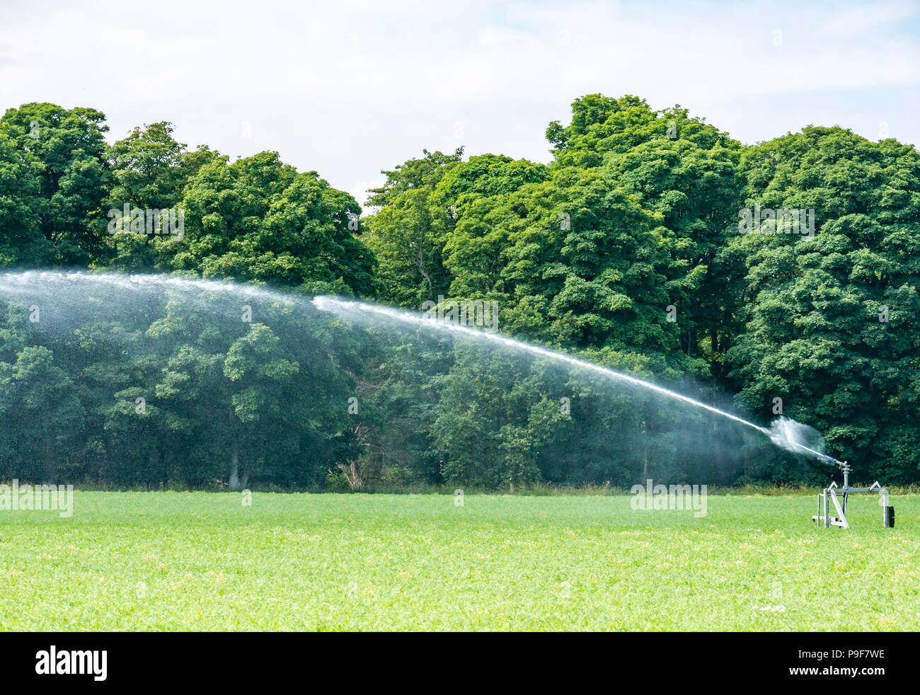 Aberlady, East Lothian, Scotland, United Kingdom, 18th July 2018. A farmer waters his green potato crop field. No water shortage in Scotland during the Summer heatwave Stock Photo