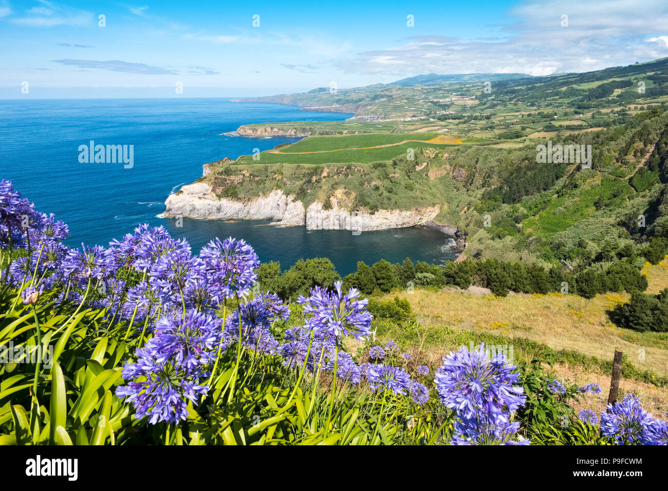 Wildflowers, The Atlantic and the cliffs on the coast of Sao Miguel, The Azores Stock Photo