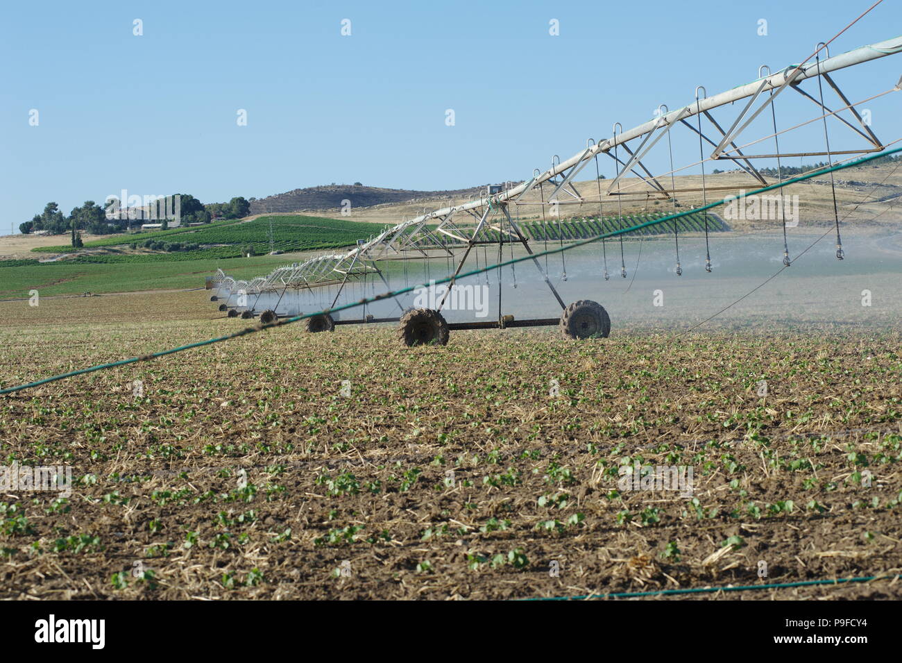 irrigation running Stock Photo