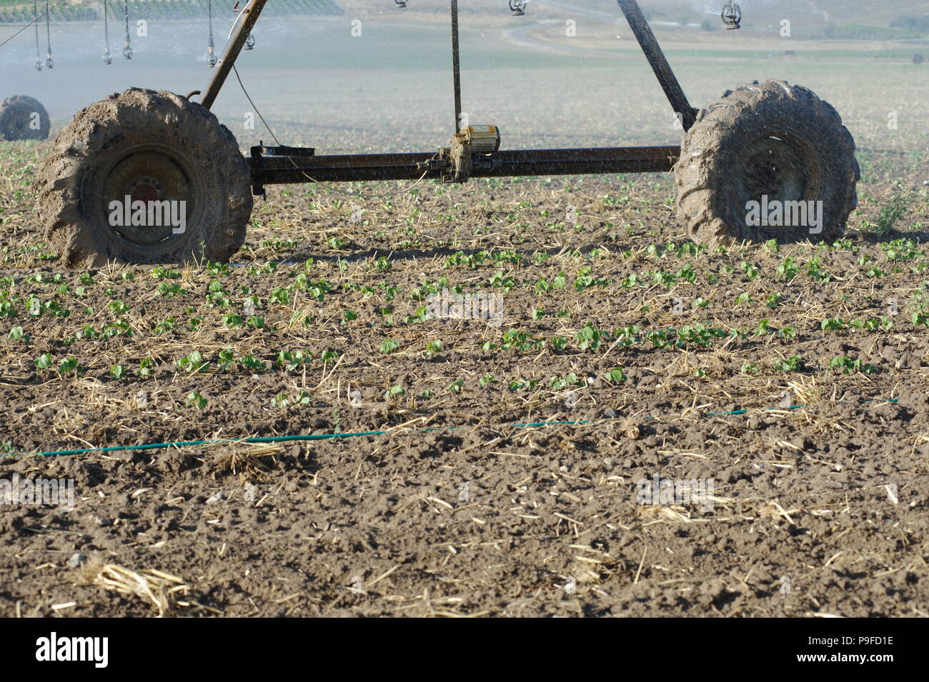 irrigation running Stock Photo