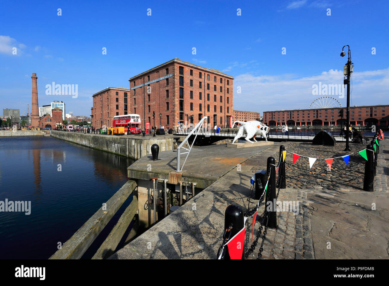 The Royal Albert Dock, George's Parade, Pier Head, UNESCO World Heritage Site, Liverpool, Merseyside, England, UK Stock Photo