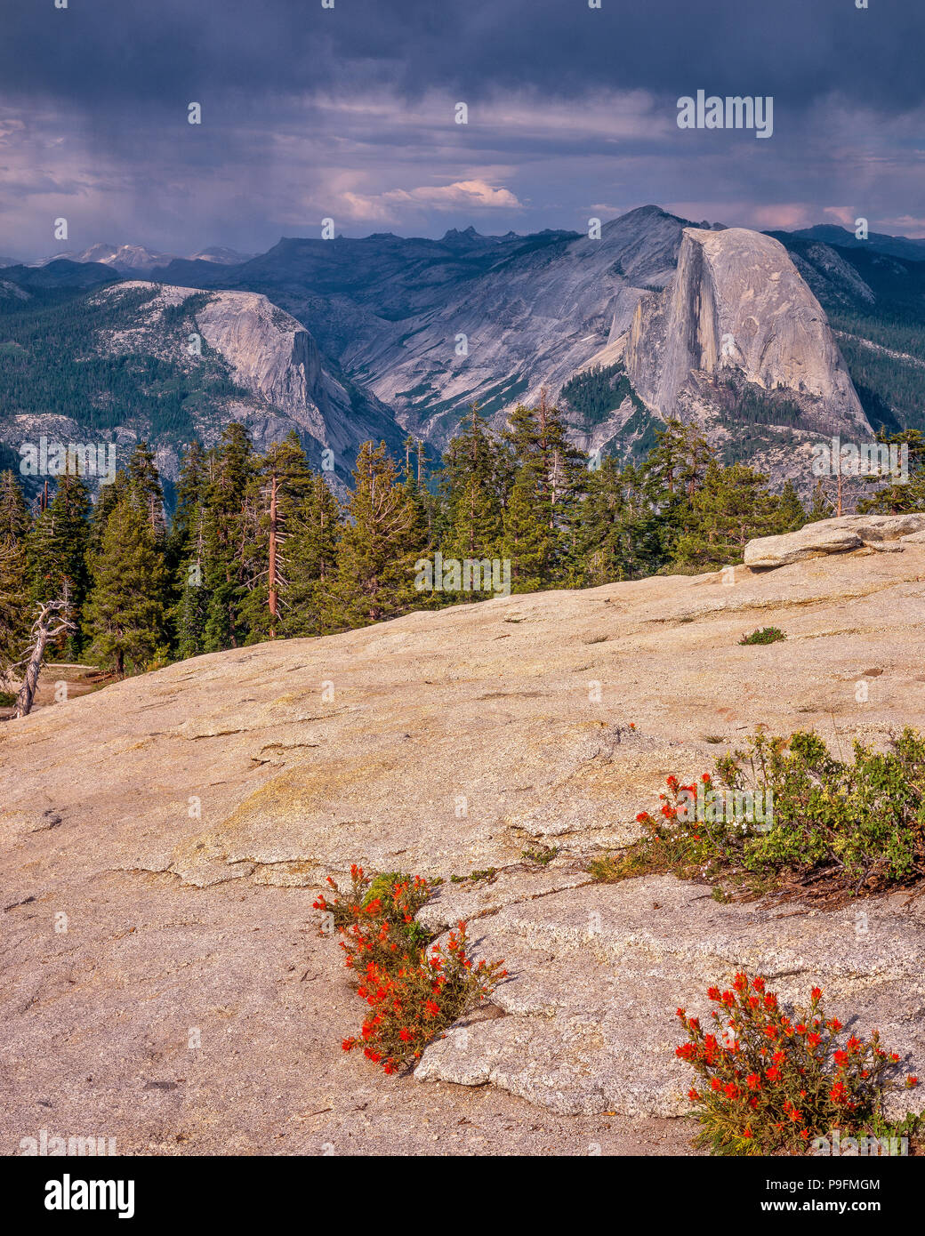 Half Dome, Yosemite Valley, Yosemite National Park, California Stock Photo