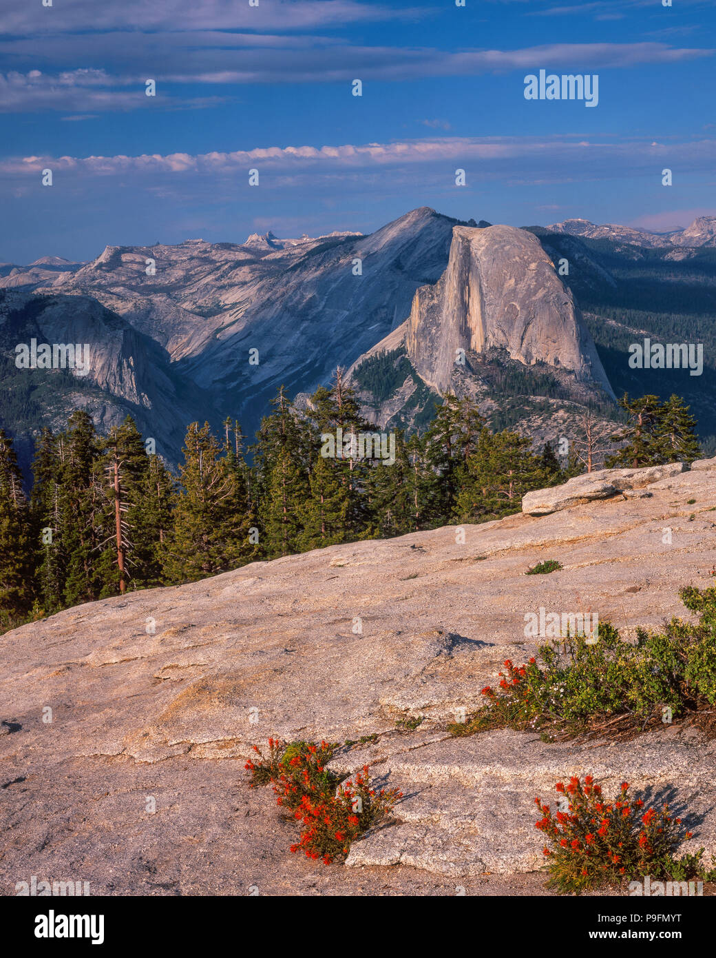 Half Dome, Yosemite Valley, Yosemite National Park, California Stock Photo