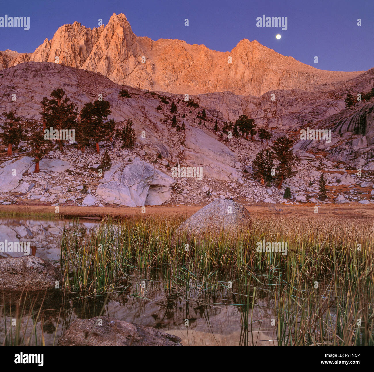 Moonset, Grass Lake, Meysan Trail, John Muir Wilderness, Inyo National Forest, Eastern Sierra, California , Stock Photo