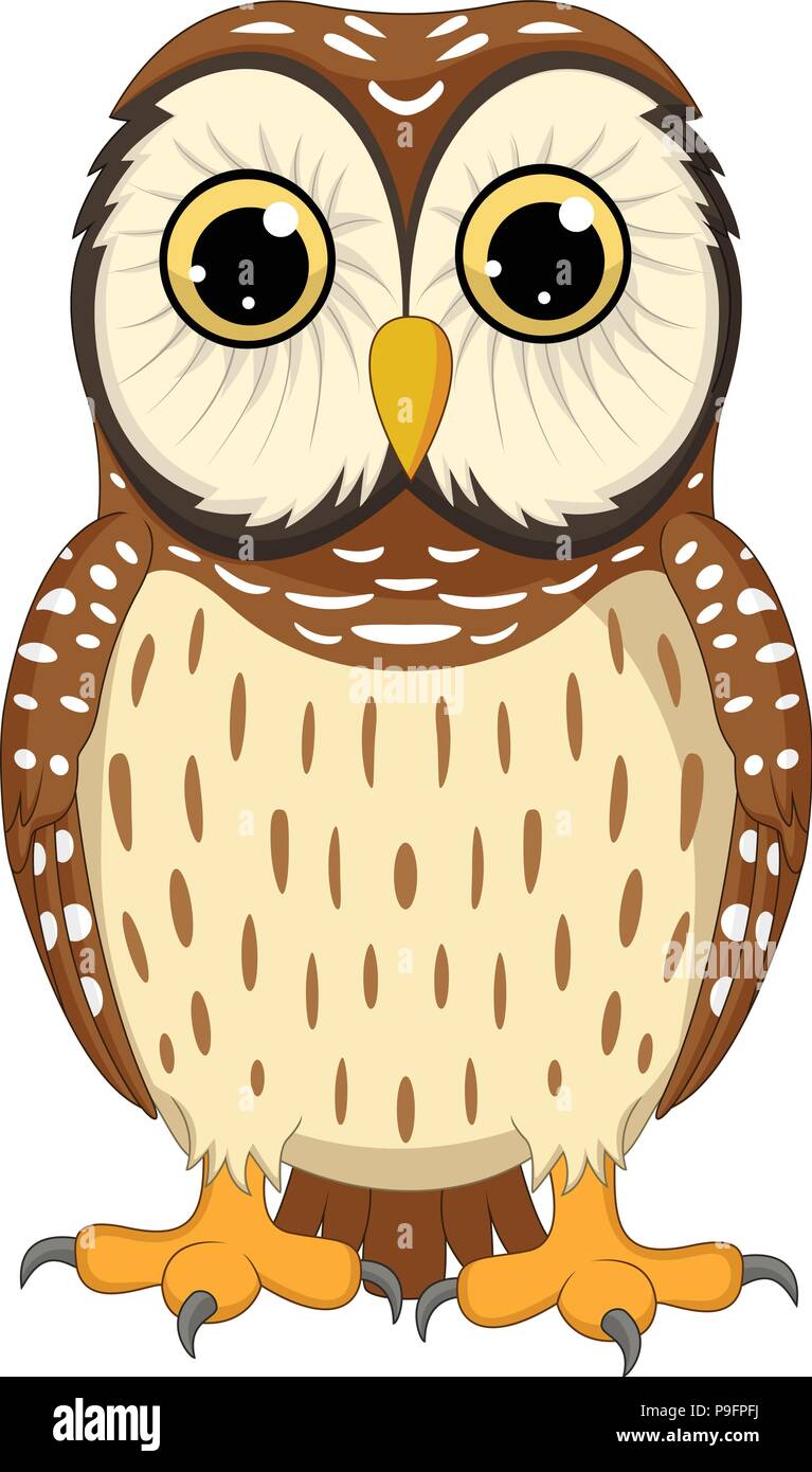cartoon owl isolated on white background Stock Vector Image & Art - Alamy