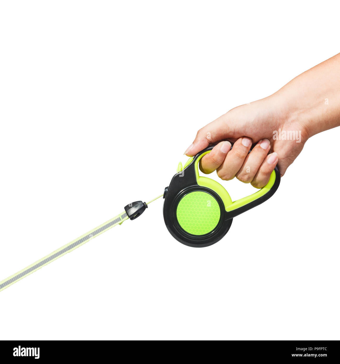 Hand holding black and green retractable dog leash on isolated white  background Stock Photo - Alamy