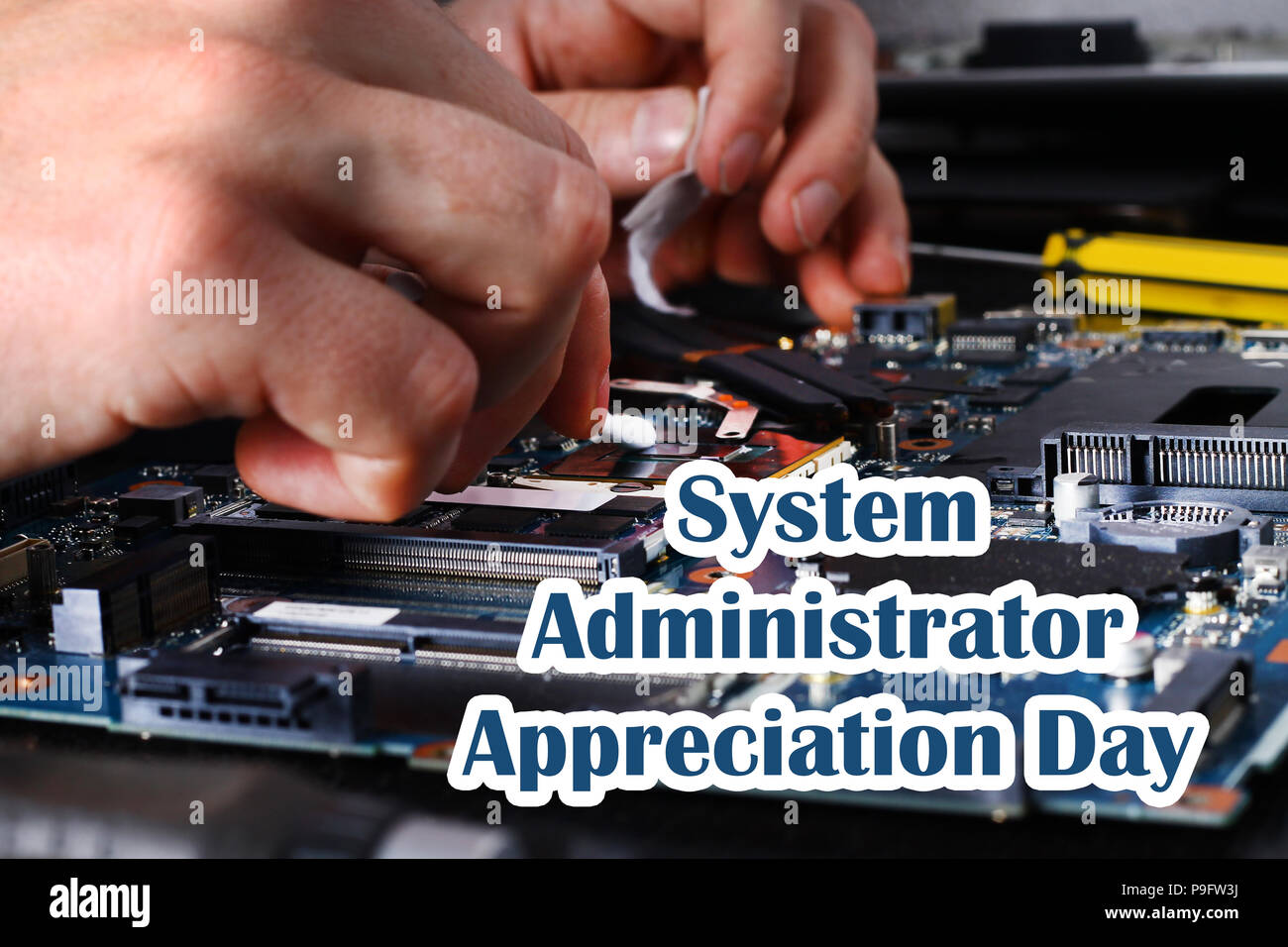 System Administrator Appreciation Day. Postcard for the holiday. The