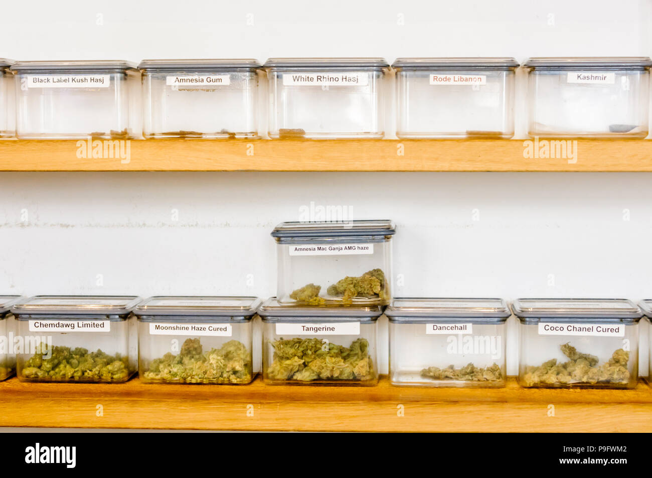 Cannabis resin and herbal marijuana in containers in a coffee shop in the Hague, Netherlands