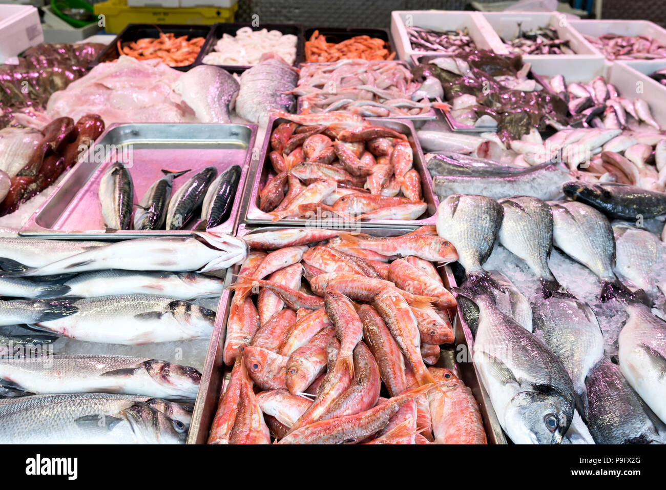 Fishmonger counter hires stock photography and images Alamy