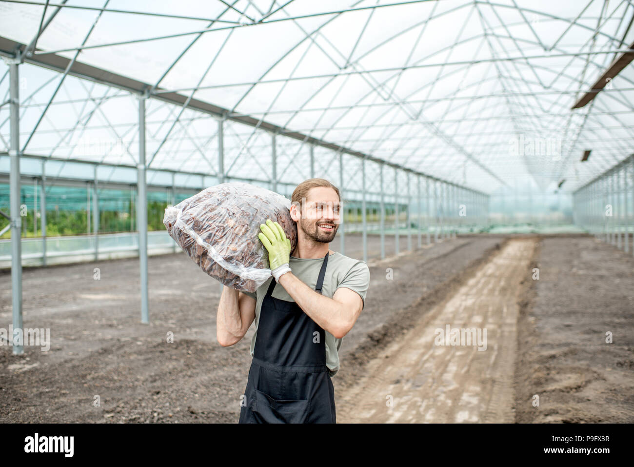 Farmer with bag in the glasshouse Stock Photo