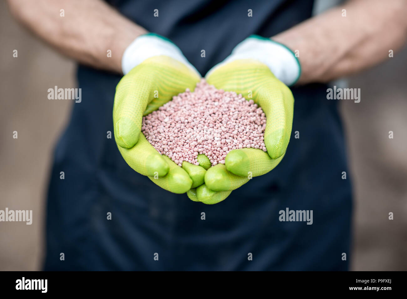 Holding mineral fertilizers Stock Photo Alamy