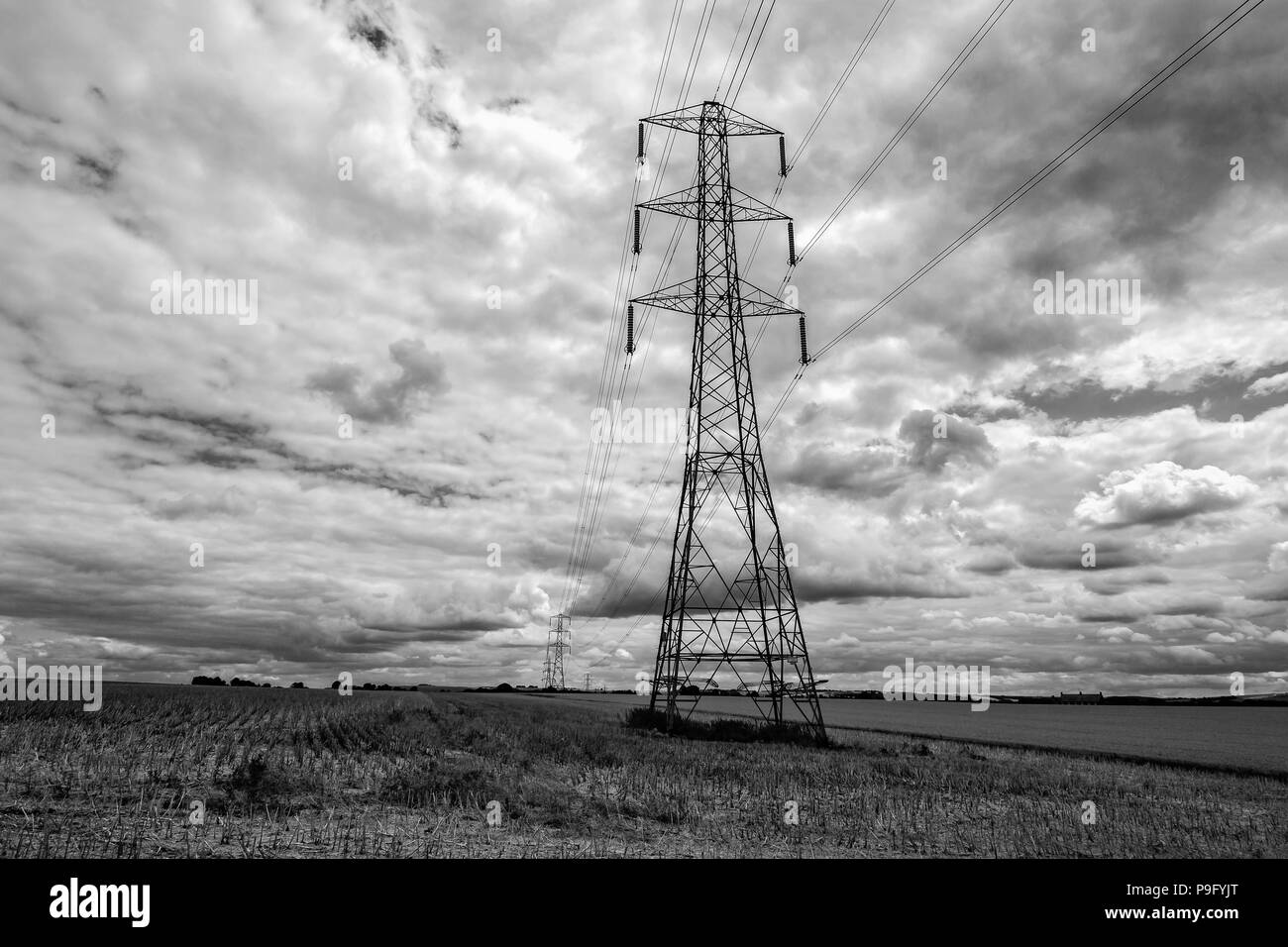 Black & White photograph of large electricity pylon with pylons in the distance in a field of corn stubble Stock Photo