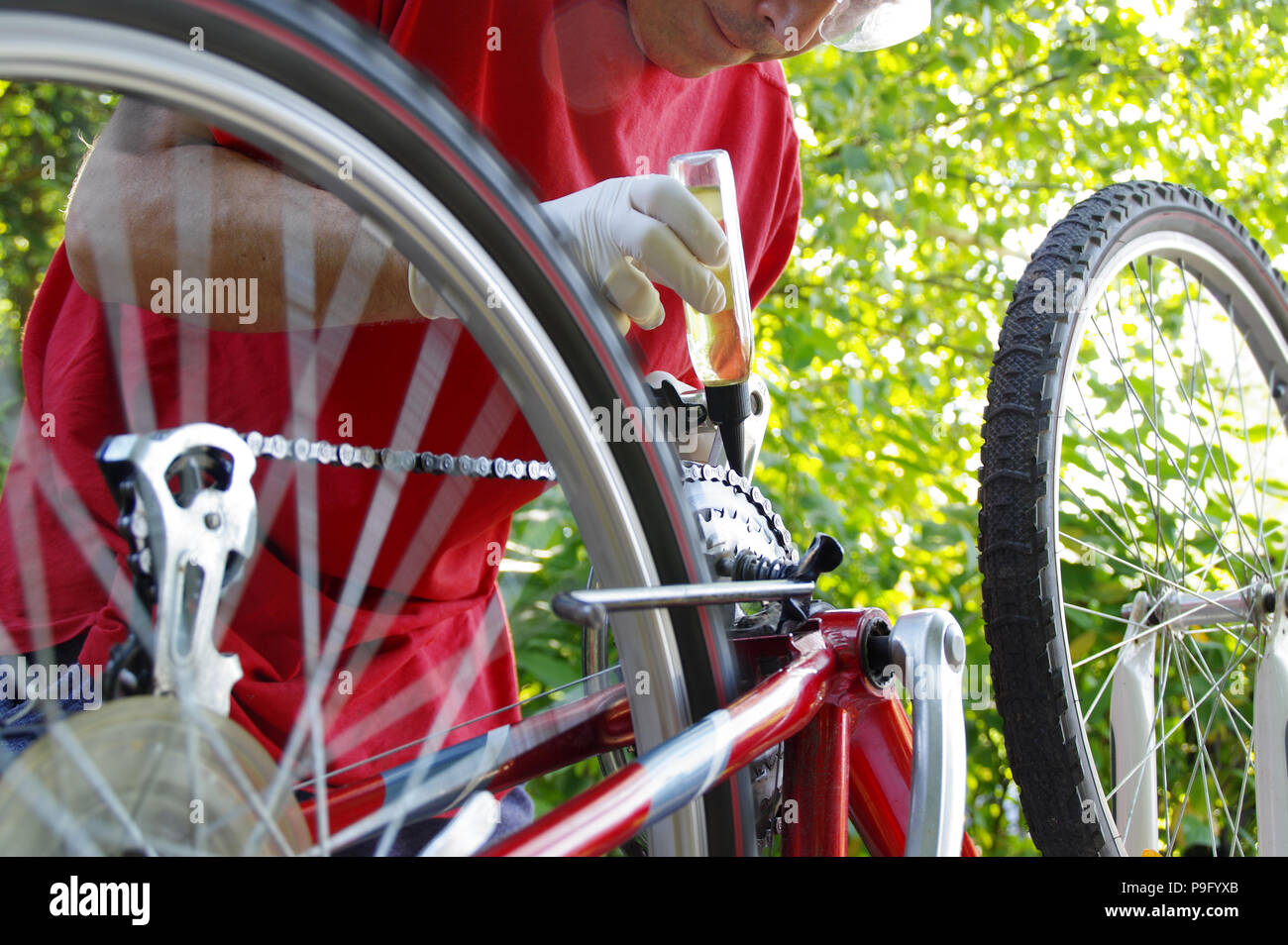 Bicycle maintenance by repairman. Bike mechanical service Stock Photo
