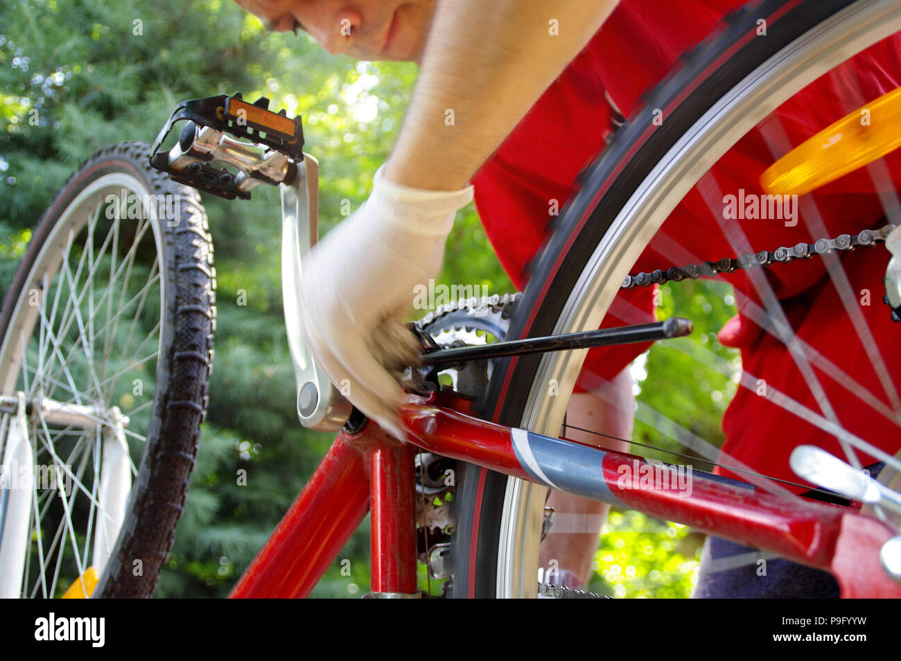 Bicycle maintenance by repairman. Bike mechanical service Stock Photo