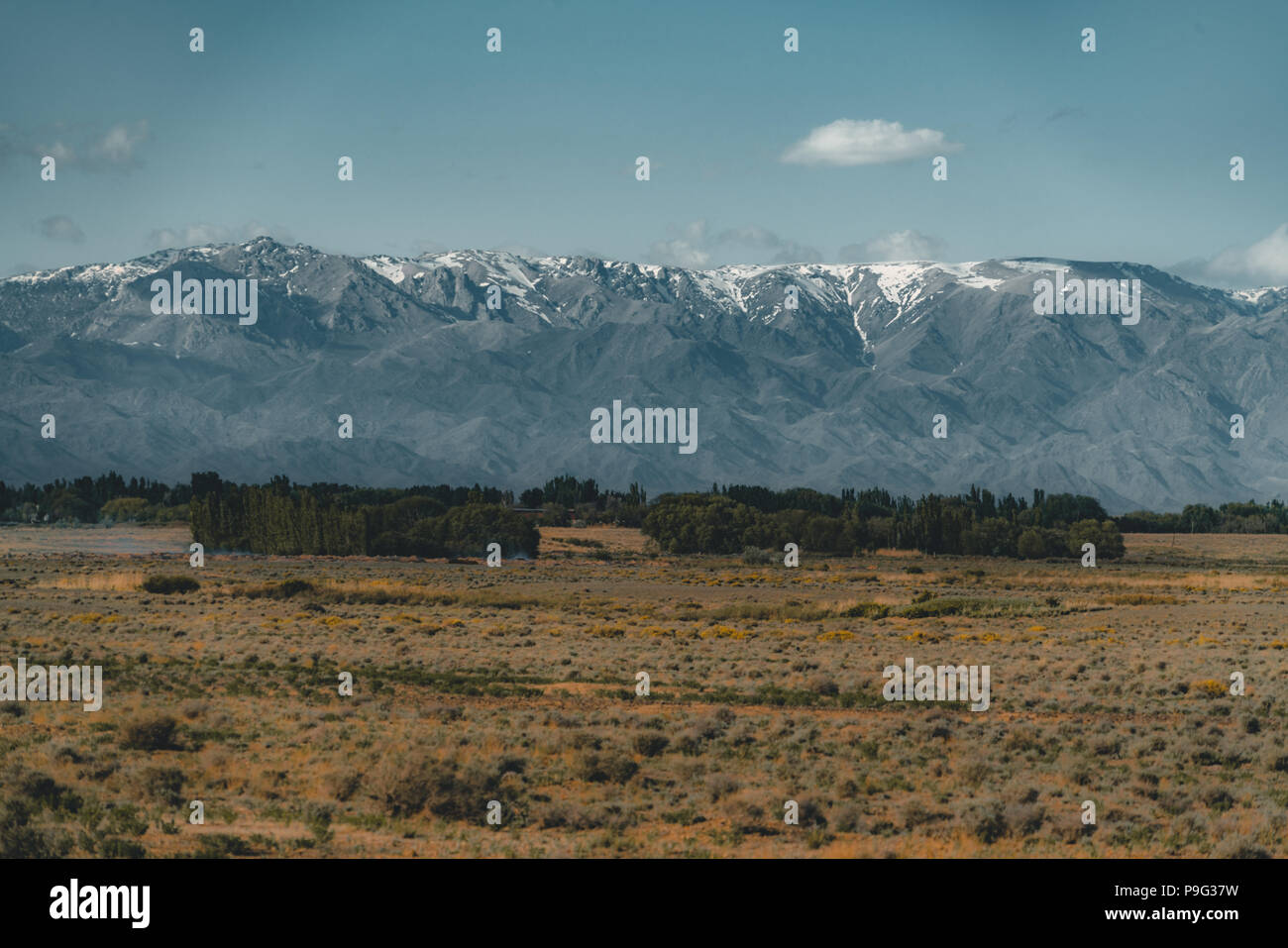 green Kazakhstan Steppe view with Tian Shan mountains in background and grass badlands in foreground Stock Photo