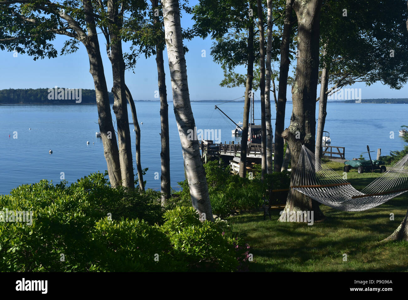 A stunning hammock on Bustins Island in Casco Bay in Maine Stock Photo