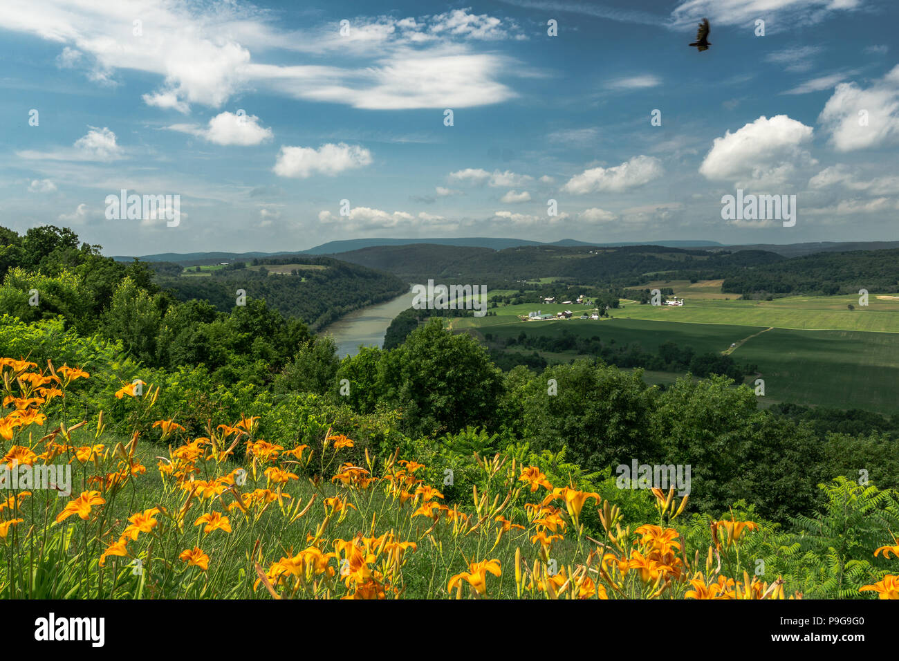 Marie Antoinette Lookout, French  Azilum, Susquehanna River, Bradford County, PA, USA Stock Photo