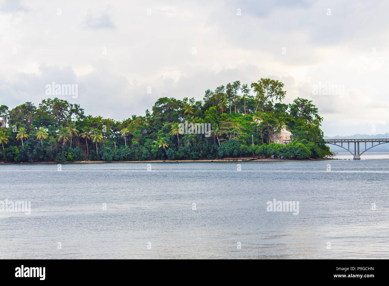 Island with palm trees, sea, cloudy. Samana, Dominican Republic Stock Photo