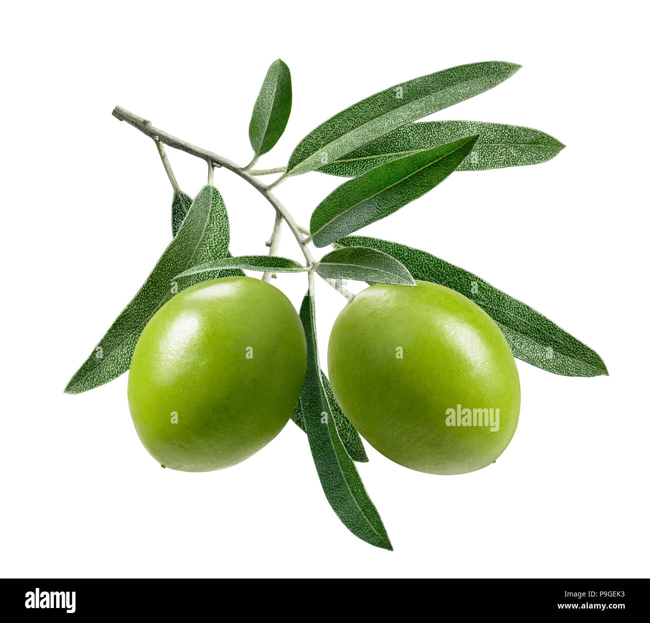 Beautiful green olives hires stock photography and images Alamy