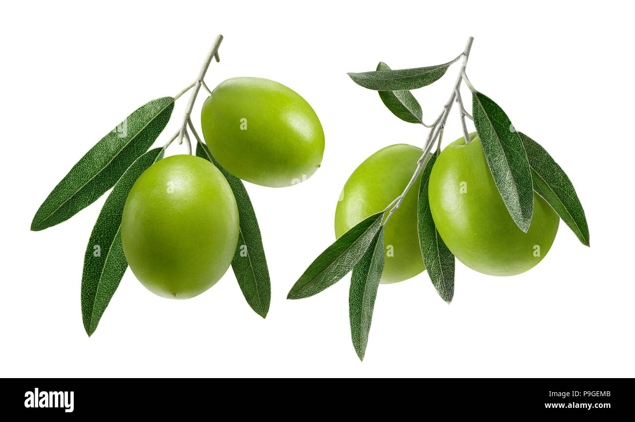 Green olive double set isolated on white background as package design elements Stock Photo