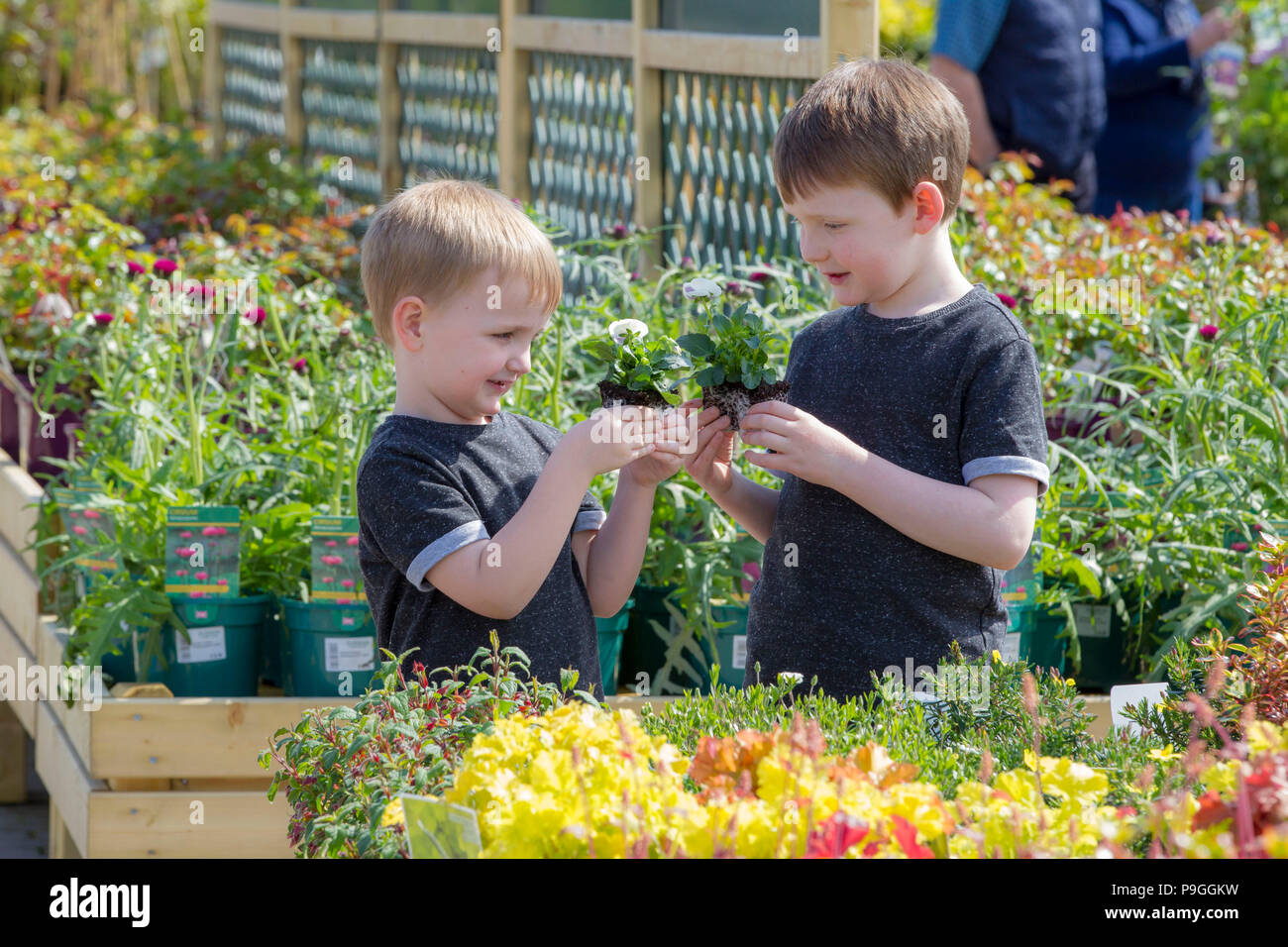 Children looking at plants in garden centre Stock Photo