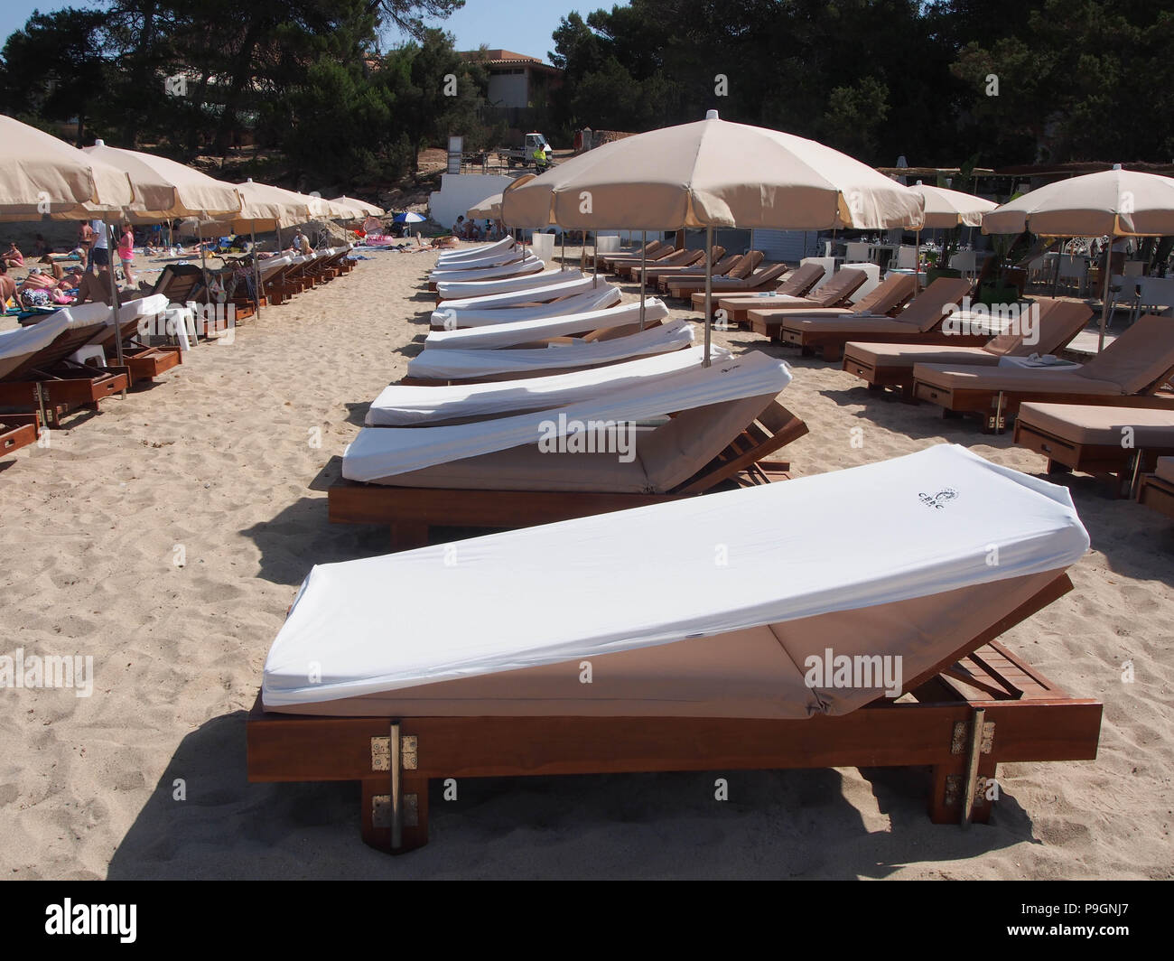 Sun loungers on Port des Torrent beach, Ibiza. Stock Photo