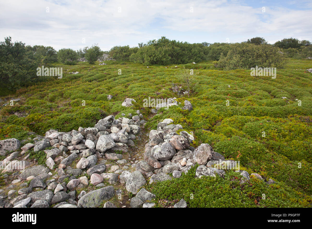 Neolithic Stone Labyrinth, Solovetsky Islands, Russia Stock Photo