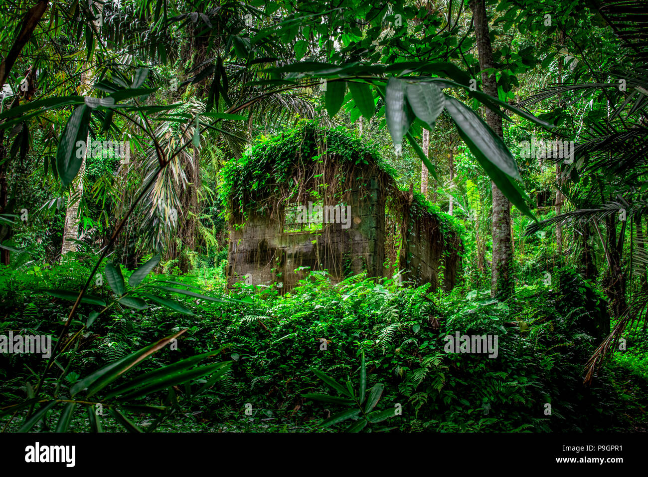 Fabulous thrown house in a tropical forest, Bali lifstyle Stock Photo